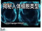 初中  生物  人教版（2024）  七年級上冊（2024）  第二節(jié) 動物體的結構層次 課件