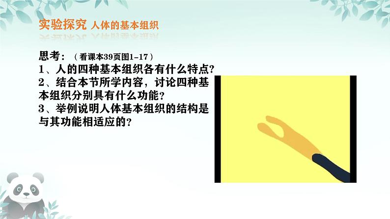 初中  生物  人教版（2024）  七年级上册（2024）  第二节 动物体的结构层次 课件第6页