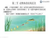 初中  生物  人教版（2024）  七年级上册（2024）  第二节 动物体的结构层次 课件