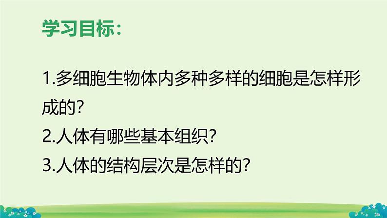 初中  生物  人教版（2024）  七年级上册（2024）  第二节 动物体的结构层次 课件第3页