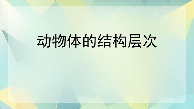 初中  生物  人教版（2024）  七年级上册（2024）  第二节 动物体的结构层次 课件第1页