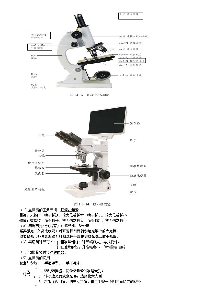 济南版（2024新版）七年级上册生物期末复习知识点学案第2页