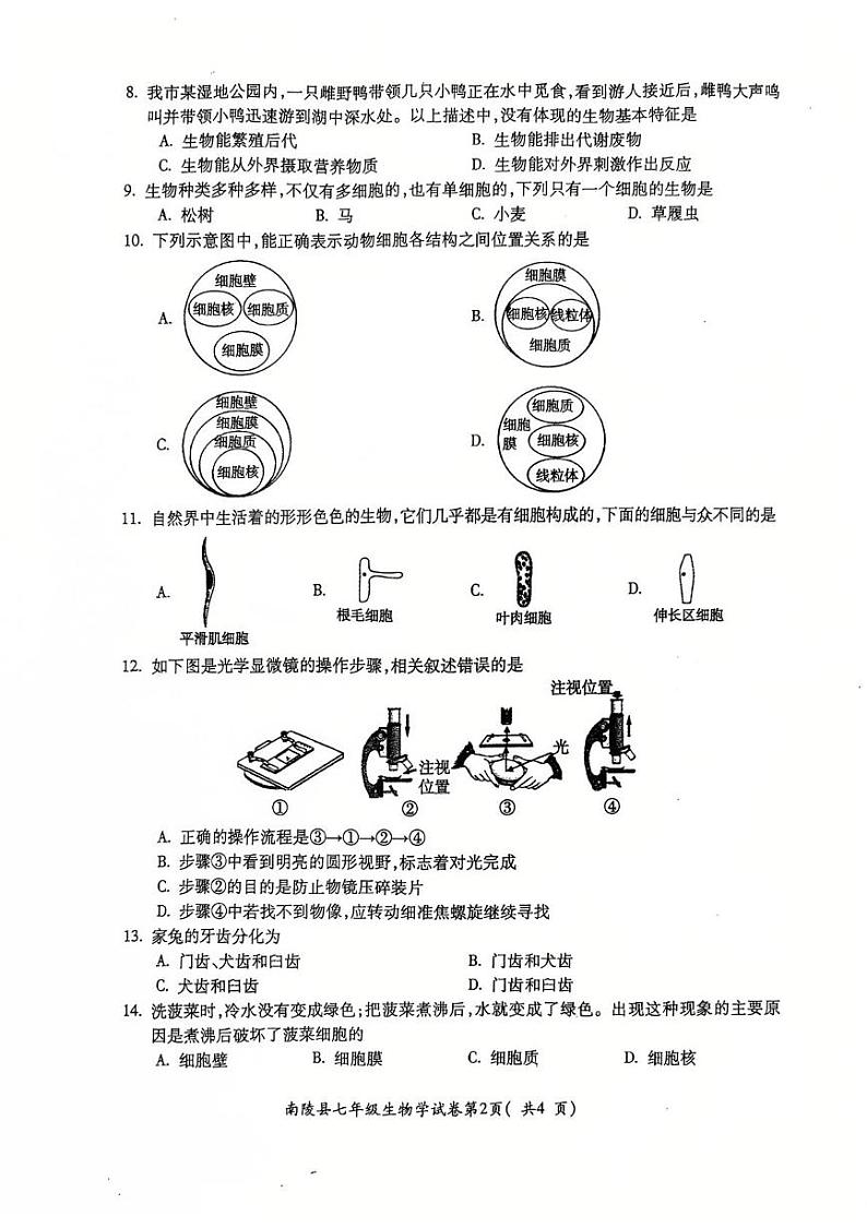 安徽省芜湖市南陵县2024-2025学年七年级上学期1月期末生物试题第2页
