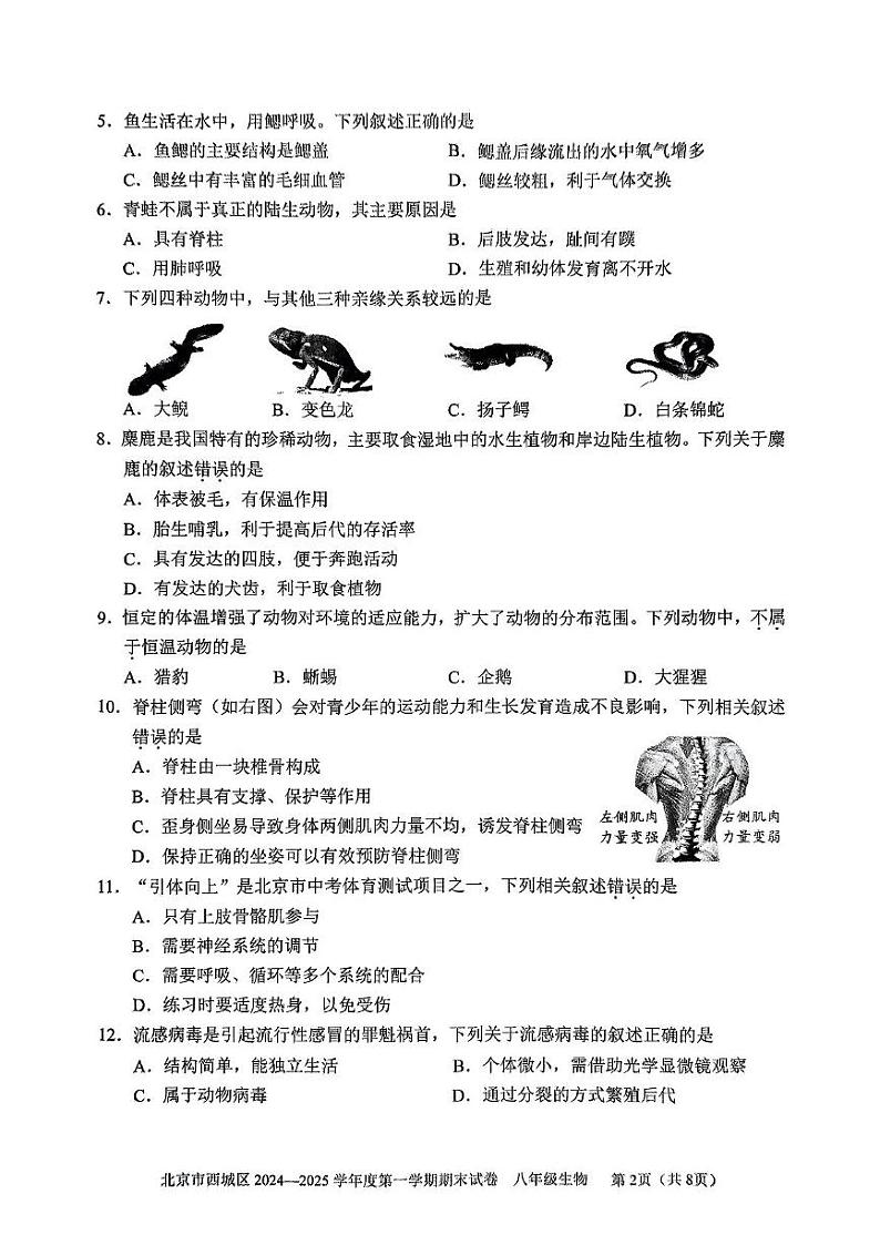 北京市西城区2024-2025学年八年级上学期期末生物试题第2页
