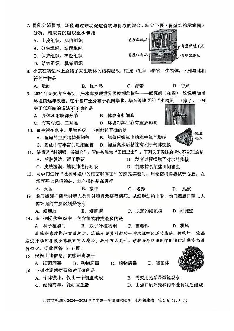 北京市西城区2024-2025学年七年级上学期期末生物试题第2页