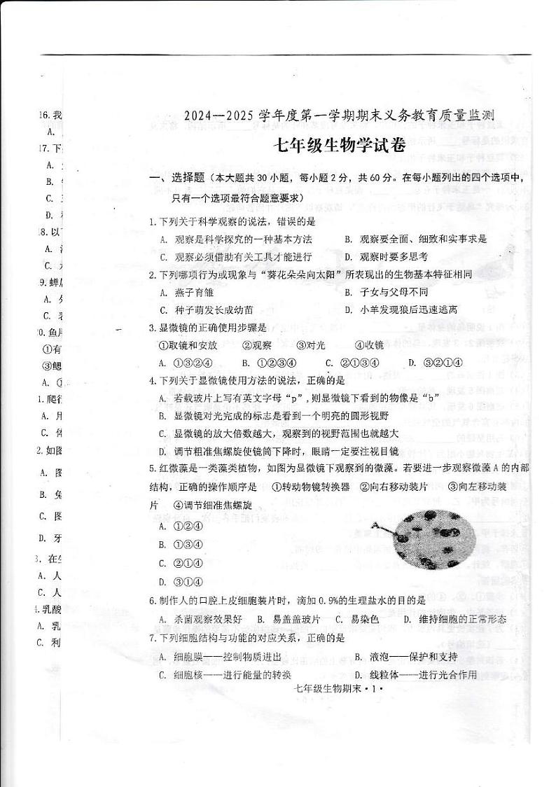 广东省江门市恩平市2024-2025学年七年级上学期1月期末生物试题第1页