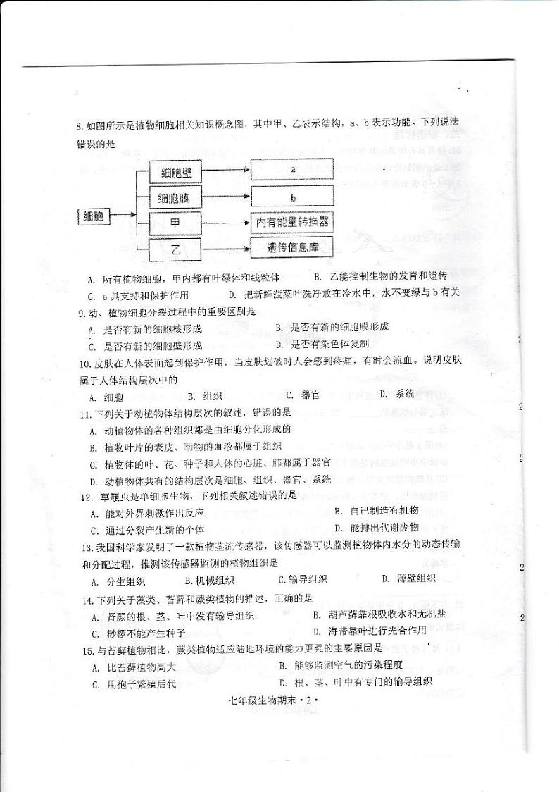 广东省江门市恩平市2024-2025学年七年级上学期1月期末生物试题第2页
