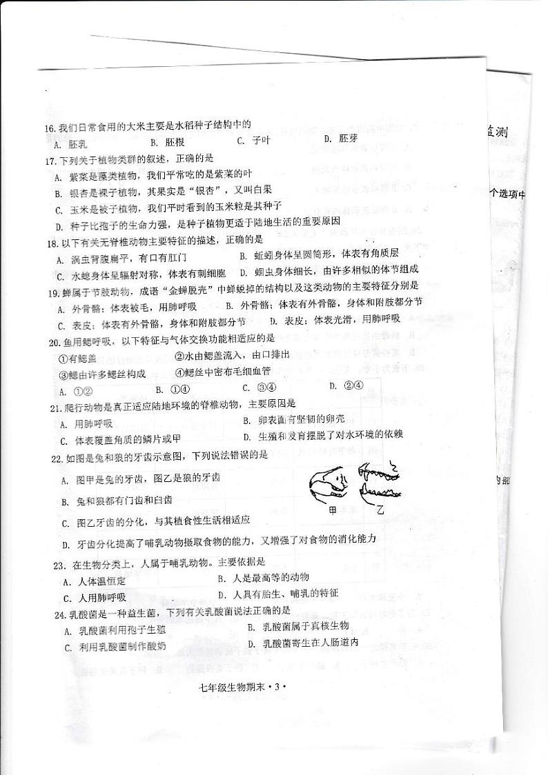 广东省江门市恩平市2024-2025学年七年级上学期1月期末生物试题第3页