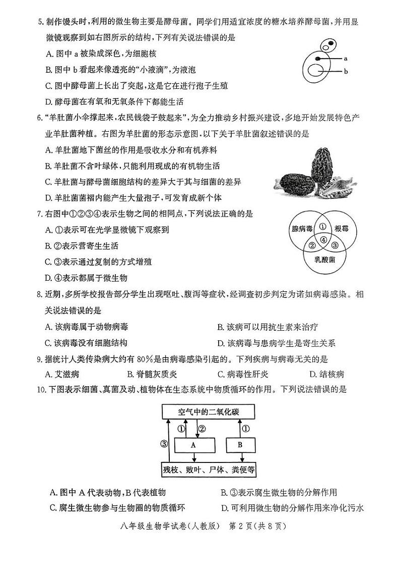 河北省唐山市滦州市2024-2025学年八年级上学期1月期末生物试题第2页