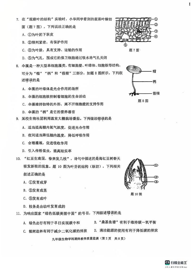 广东省揭阳市普宁市2024-2025学年九年级上学期1月期末生物试题第2页