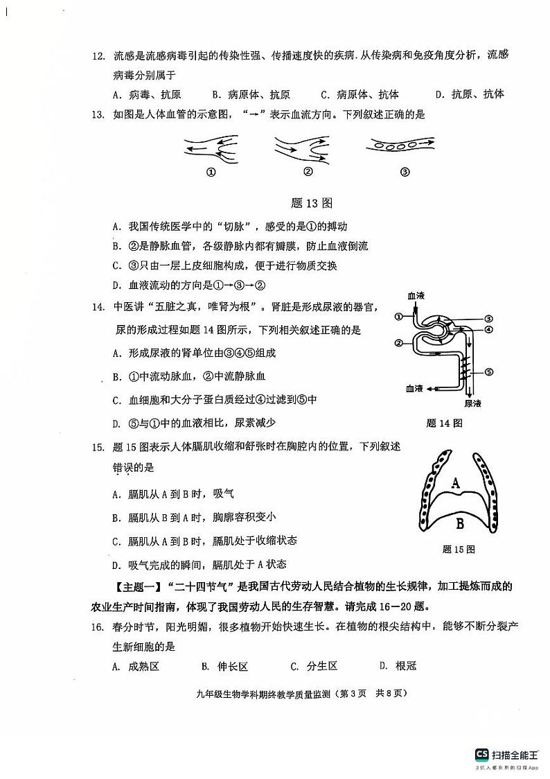 广东省揭阳市普宁市2024-2025学年九年级上学期1月期末生物试题第3页