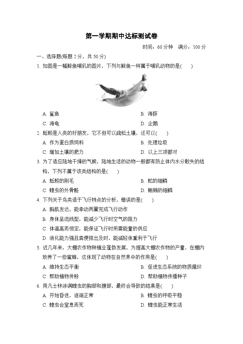 人教部编版生物八年级上册期中测试卷4（Word版，附答案）第1页