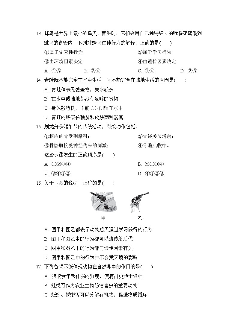 人教部编版生物八年级上册期中测试卷4（Word版，附答案）第3页