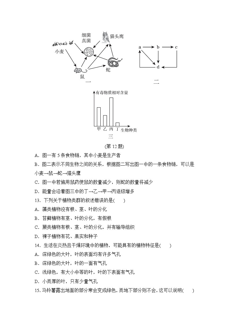 人教部编版生物七年级上册期末测试卷1（Word版，附答案）第3页