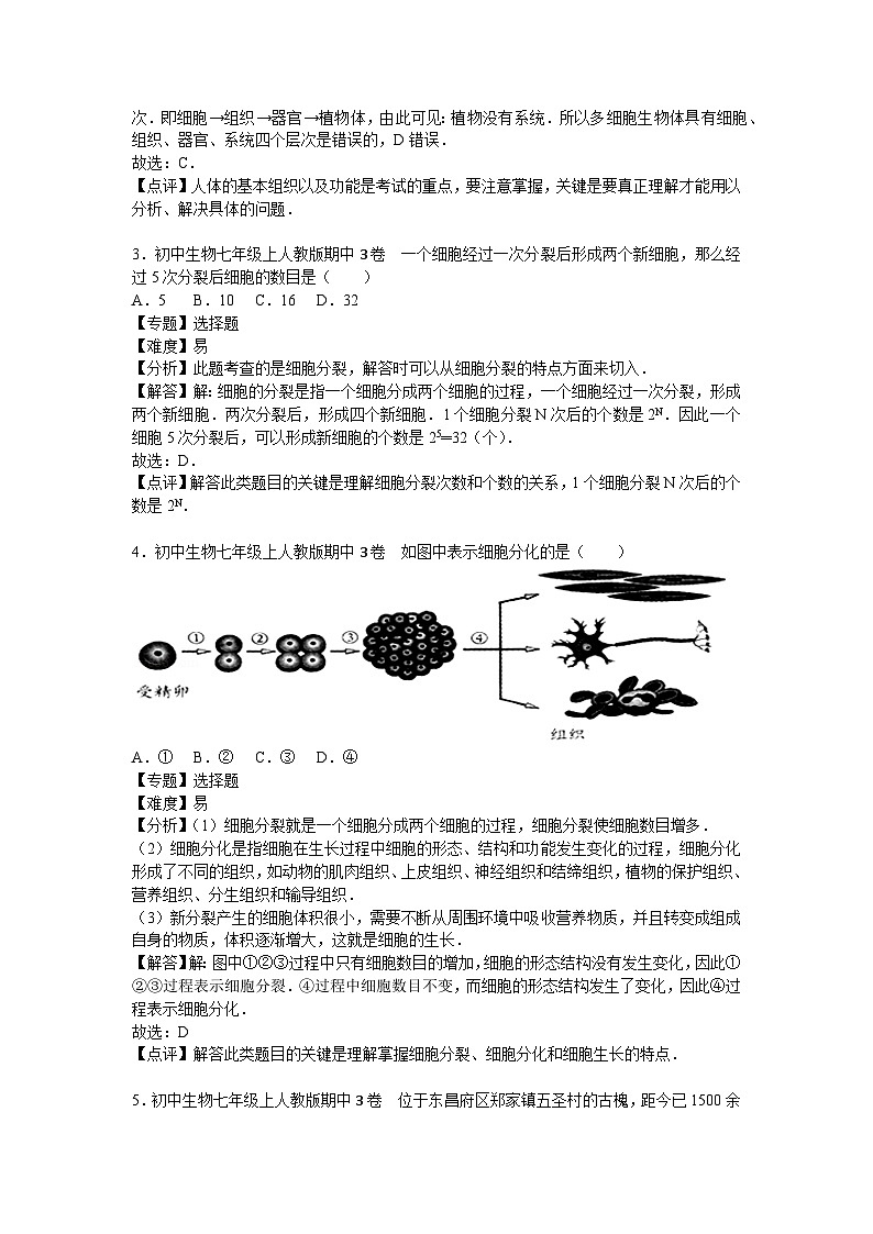 人教部编版生物七年级上册期中测试卷4（Word版，附答案）第2页