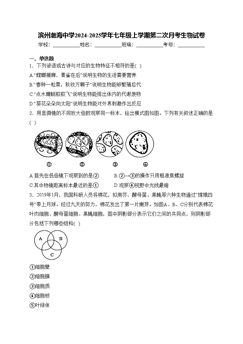 滨州渤海中学2024-2025学年七年级上学期第二次月考生物试卷(含答案)第1页