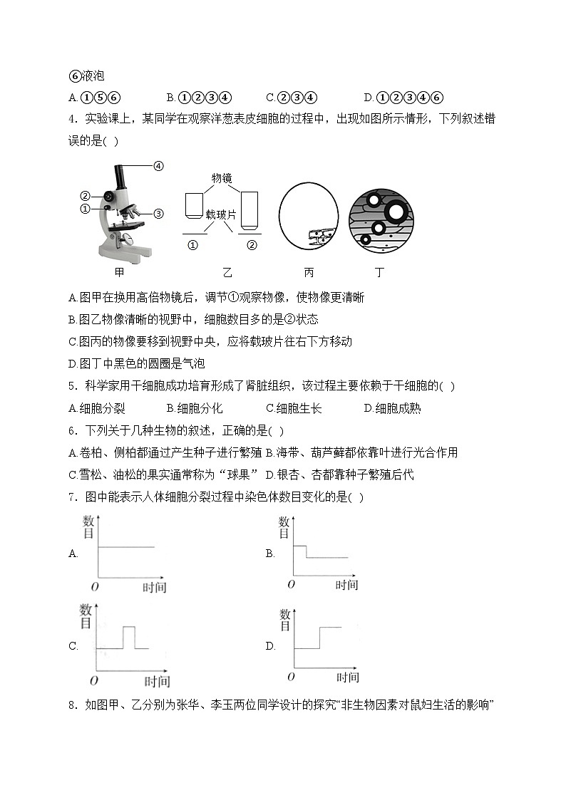 滨州渤海中学2024-2025学年七年级上学期第二次月考生物试卷(含答案)第2页