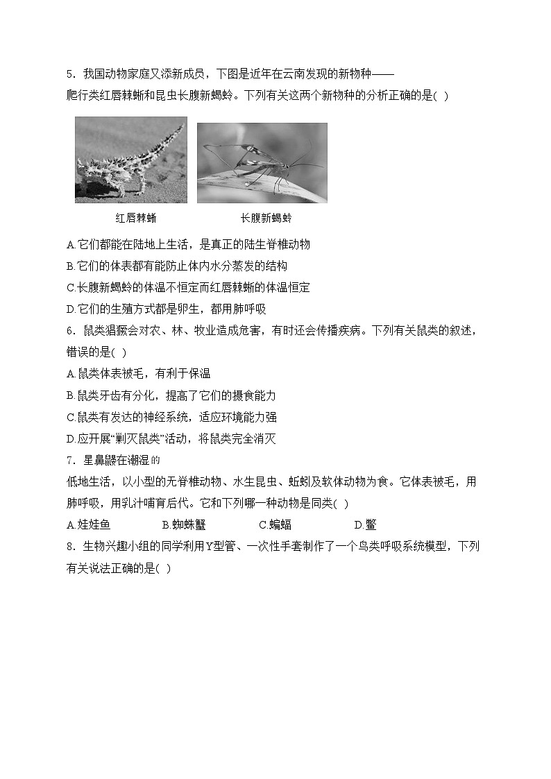广东省东莞市2024-2025学年八年级上学期12月月考生物试卷(含答案)第2页