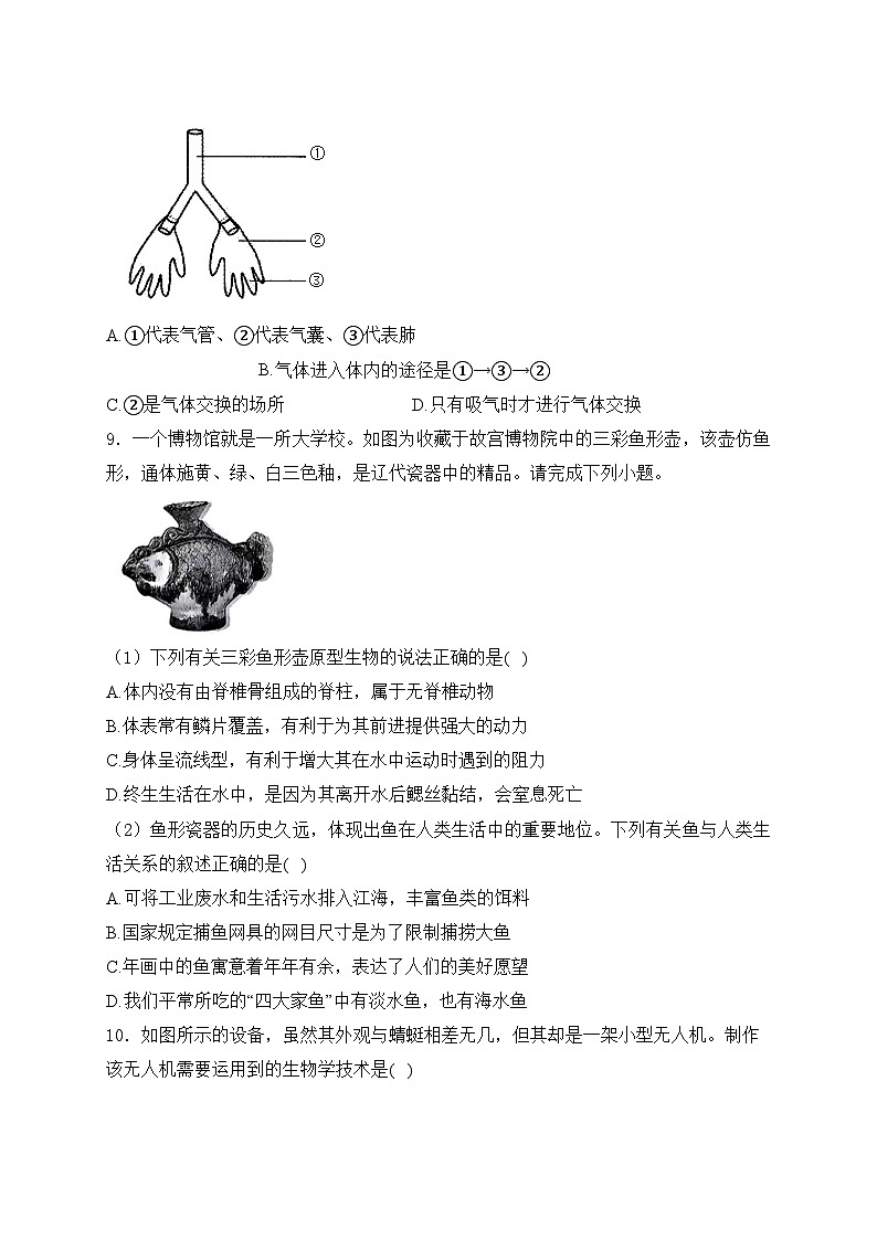 广东省东莞市2024-2025学年八年级上学期12月月考生物试卷(含答案)第3页