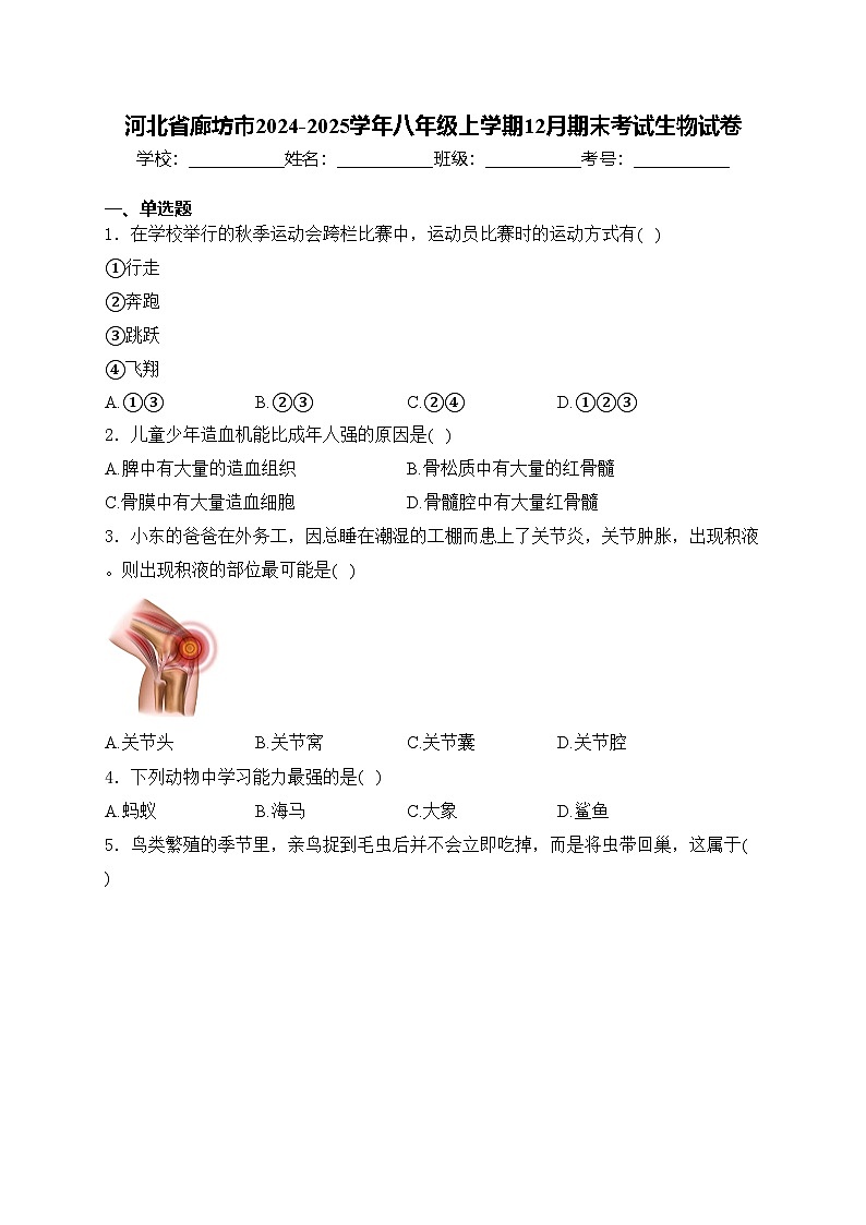 河北省廊坊市2024-2025学年八年级上学期12月期末考试生物试卷(含答案)第1页