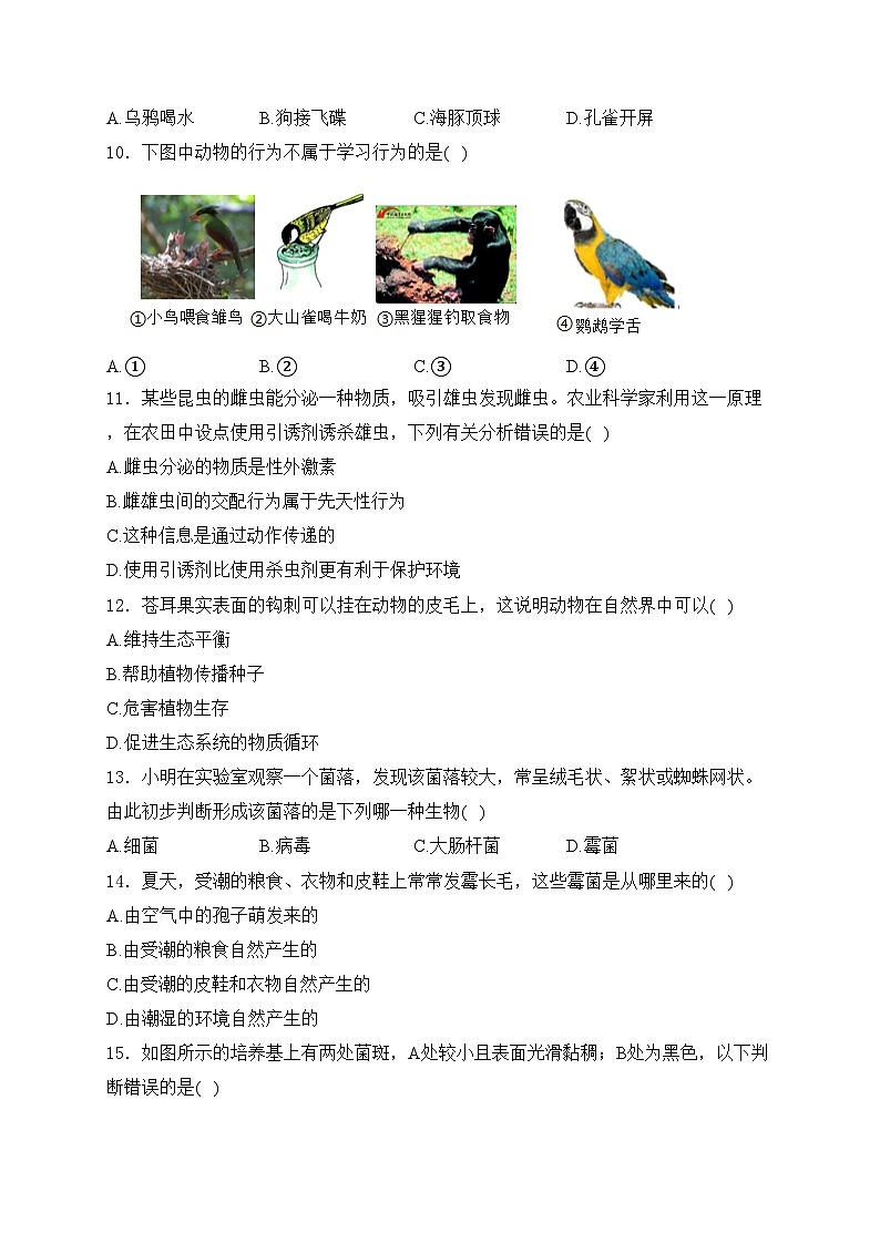 邢台英华教育集团2024-2025学年八年级上学期12月月考生物试卷(含答案)第3页