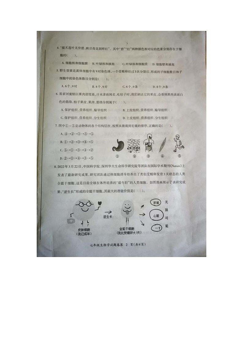 安徽芜湖2025年七年级上学期期末生物考试真题第2页