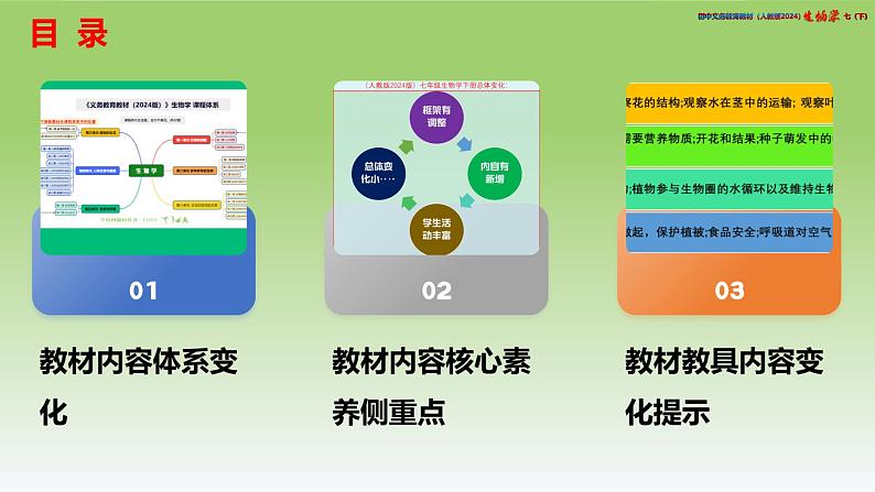 七年级生物下册（人教版2024）-【新教材解读】义务教育教材内容解读课件第3页