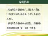 初中  生物  人教版（2024）  七年級上冊（2024）  第三節(jié) 植物體的結(jié)構(gòu)層次 課件