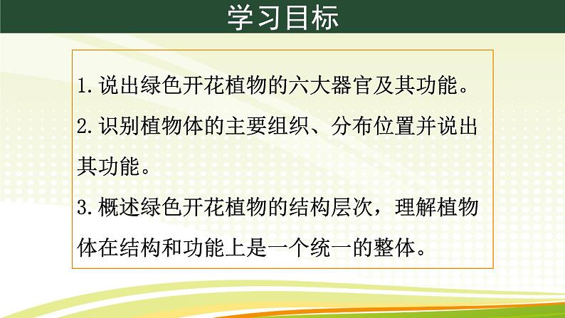 初中  生物  人教版（2024）  七年级上册（2024）  第三节 植物体的结构层次 课件第5页