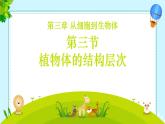 初中  生物  人教版（2024）  七年级上册（2024）  第三节 植物体的结构层次 课件