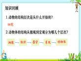 初中  生物  人教版（2024）  七年级上册（2024）  第三节 植物体的结构层次 课件