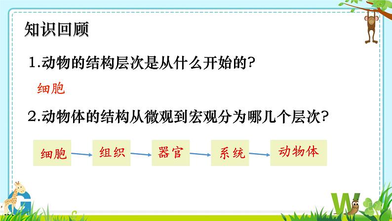 初中  生物  人教版（2024）  七年级上册（2024）  第三节 植物体的结构层次 课件第2页