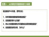 初中  生物  人教版（2024）  七年级上册（2024）  第三节 植物体的结构层次 课件