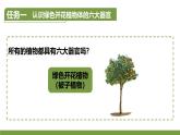 初中  生物  人教版（2024）  七年级上册（2024）  第三节 植物体的结构层次 课件
