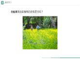 初中  生物  人教版（2024）  七年级上册（2024）  第三节 植物体的结构层次 课件