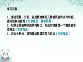 初中  生物  人教版（2024）  七年级上册（2024） 第三节 植物体的结构层次 课件