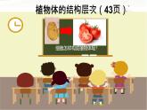 初中  生物  人教版（2024）  七年级上册（2024） 第三节 植物体的结构层次 课件