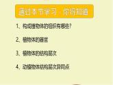 初中  生物  人教版（2024）  七年级上册（2024） 第三节 植物体的结构层次 课件