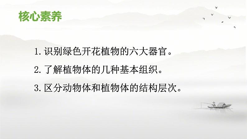 初中  生物  人教版（2024）  七年级上册（2024） 第三节 植物体的结构层次 课件第3页