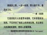 3.1.1 种子的萌发 (课件)-2024-2025学年人教版(2024)生物七年级下册