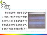 3.1.1 种子的萌发 (课件)-2024-2025学年人教版(2024)生物七年级下册