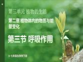 3.2.3 呼吸作用 (课件)-2024-2025学年人教版(2024)生物七年级下册