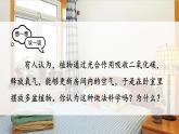 3.2.3 呼吸作用 (课件)-2024-2025学年人教版(2024)生物七年级下册