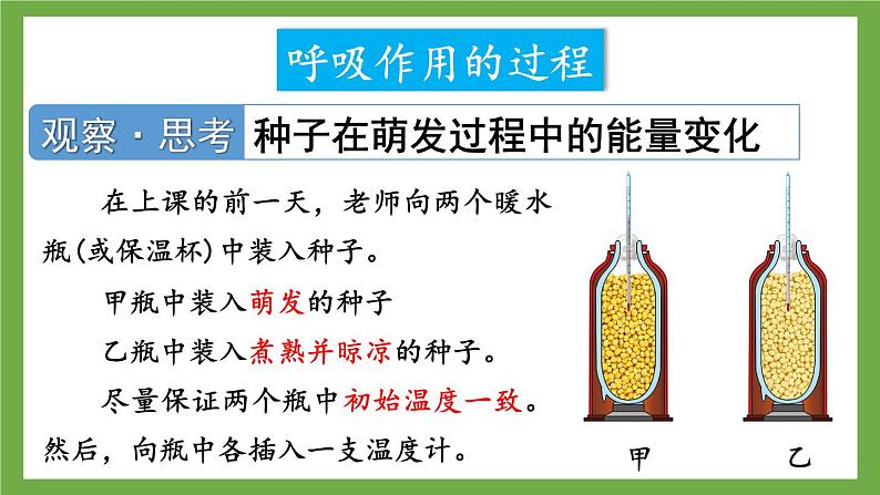 第三节 呼吸作用第8页