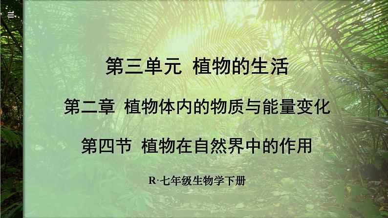 3.2.4 植物在自然界中的作用 (课件)-2024-2025学年人教版(2024)生物七年级下册第1页