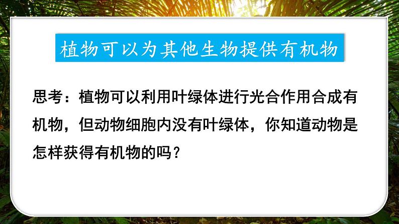 3.2.4 植物在自然界中的作用 (课件)-2024-2025学年人教版(2024)生物七年级下册第4页