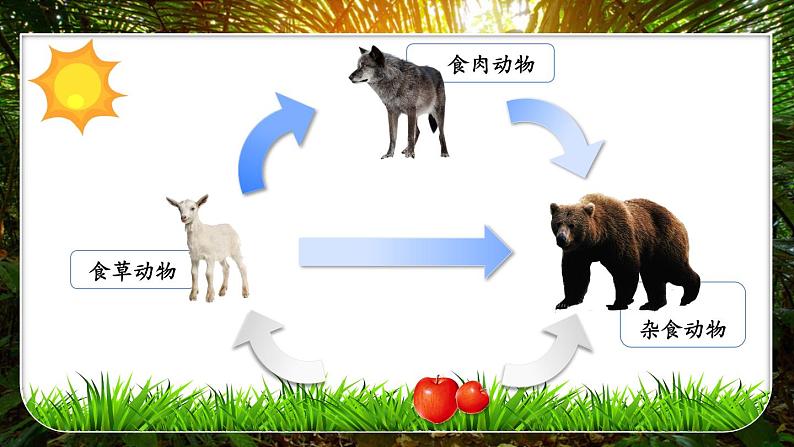 3.2.4 植物在自然界中的作用 (课件)-2024-2025学年人教版(2024)生物七年级下册第5页