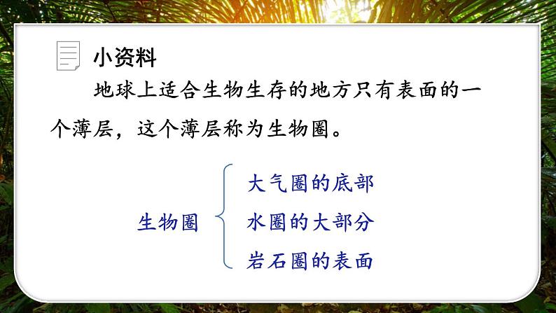 3.2.4 植物在自然界中的作用 (课件)-2024-2025学年人教版(2024)生物七年级下册第6页