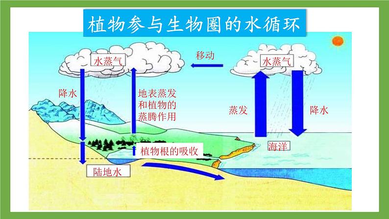 3.2.4 植物在自然界中的作用 (课件)-2024-2025学年人教版(2024)生物七年级下册第7页