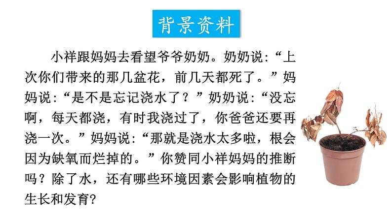 综合实践项目 栽培一种植物，探究所需的环境条件 (课件)-2024-2025学年人教版(2024)生物七年级下册第2页